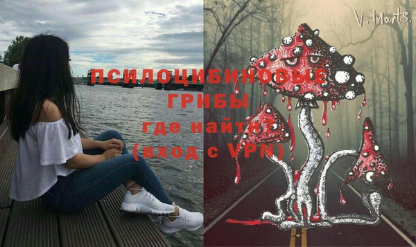 мескалин Михайлов