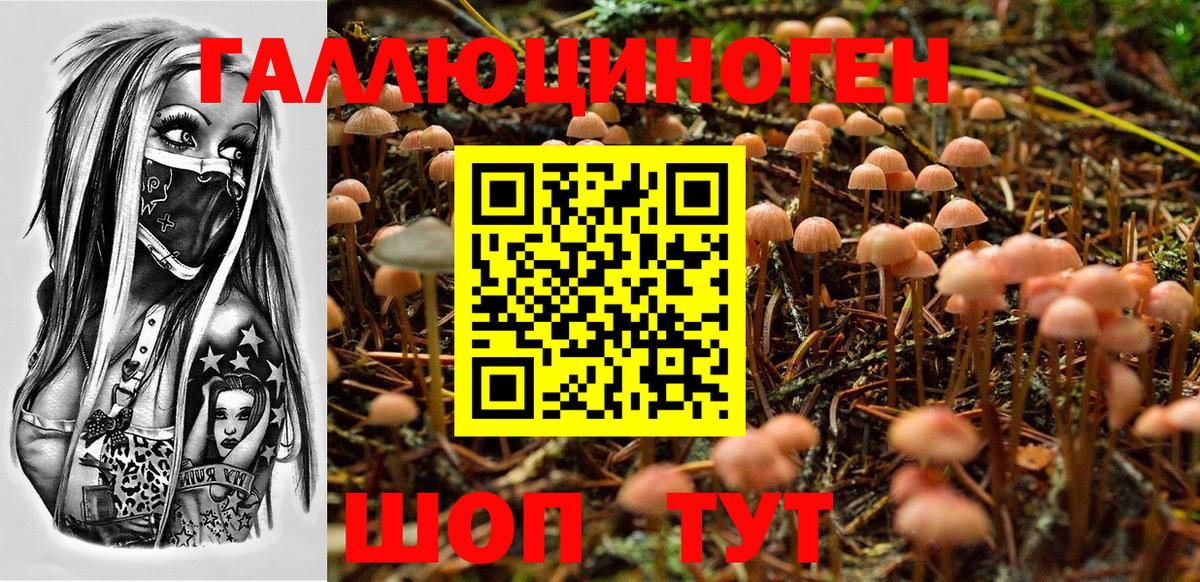Галлюциногенные грибы Cubensis  Псилоцибиновые грибы Magic Shrooms  Ростов-на-Дону  Вход с VPN 